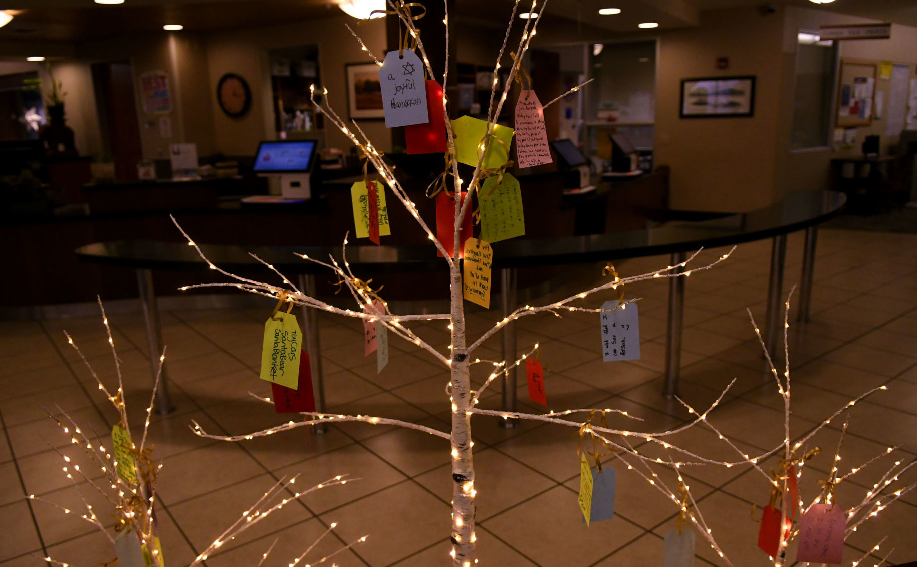 120219 Wishing trees 20.jpg